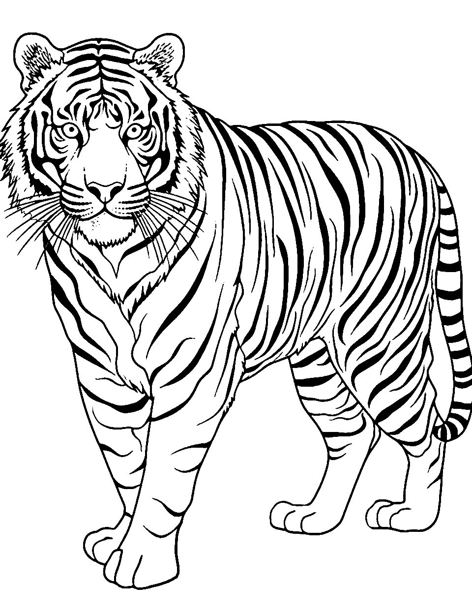 30 Tiger Coloring Pages: Free Printable Sheets In 2025 | Lion inside Printable Picture of a Tiger