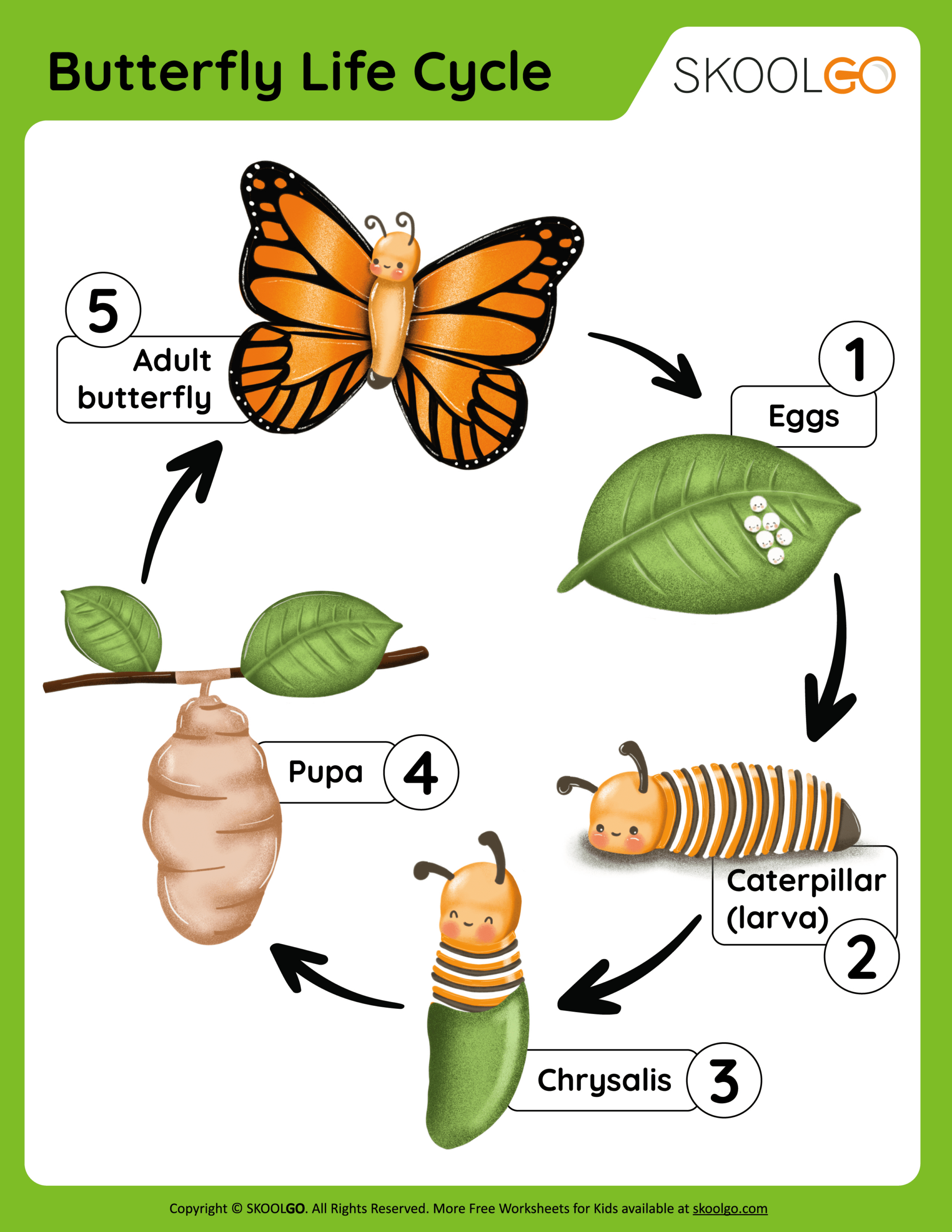 Butterfly Life Cycle - Free Worksheet - Skoolgo regarding Life Cycle of a Butterfly Printables