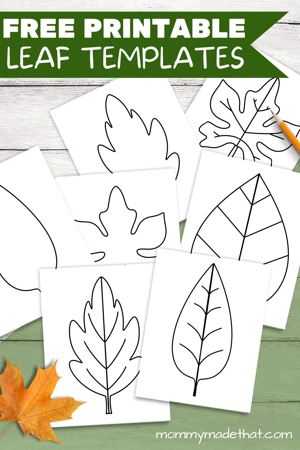 Free Leaf Templates & Outlines: Tons Of Printables!! intended for Fall Leaf Template Free Printable