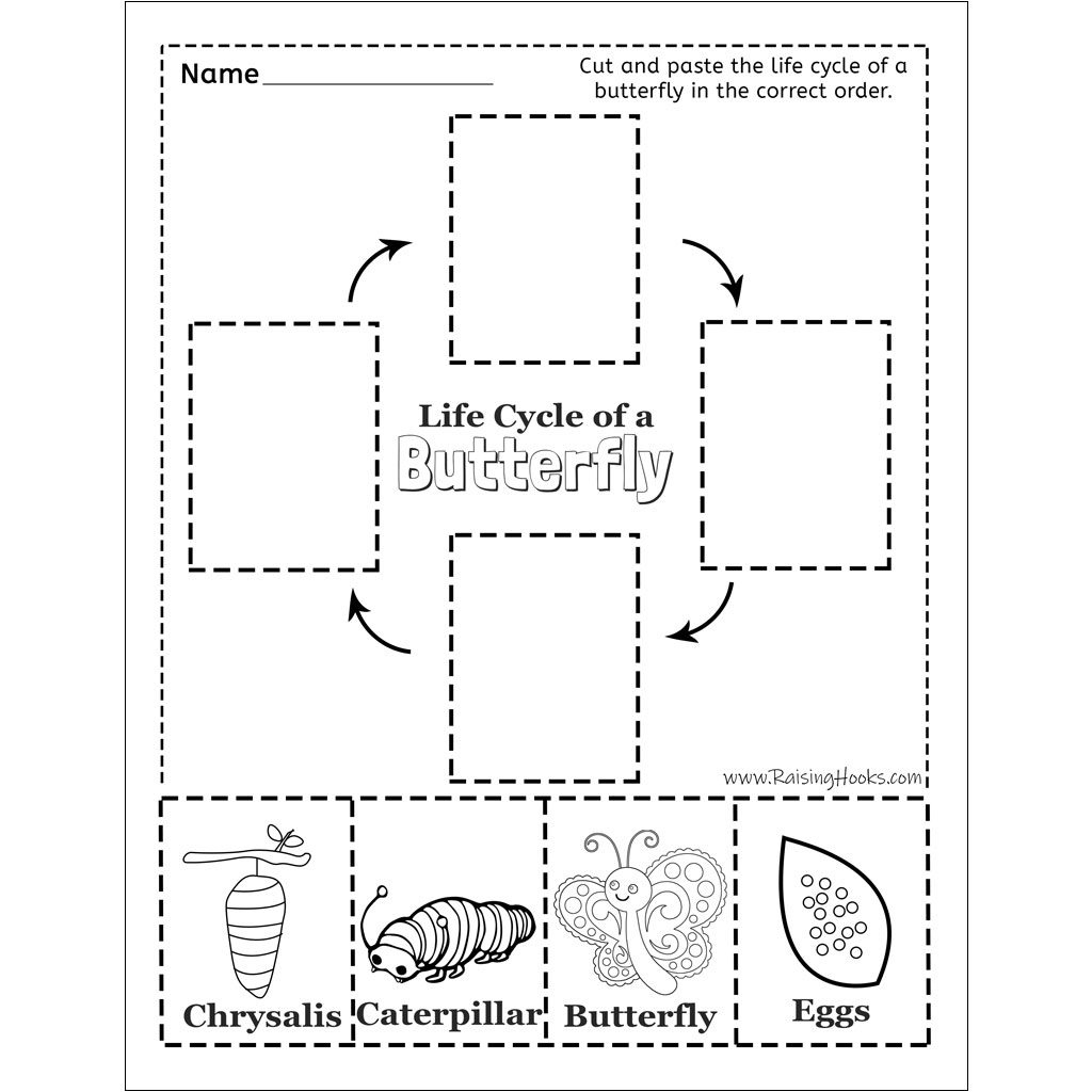 Life Cycle Of A Butterfly – Cut And Paste - Raising Hooks for Life Cycle of a Butterfly Printables