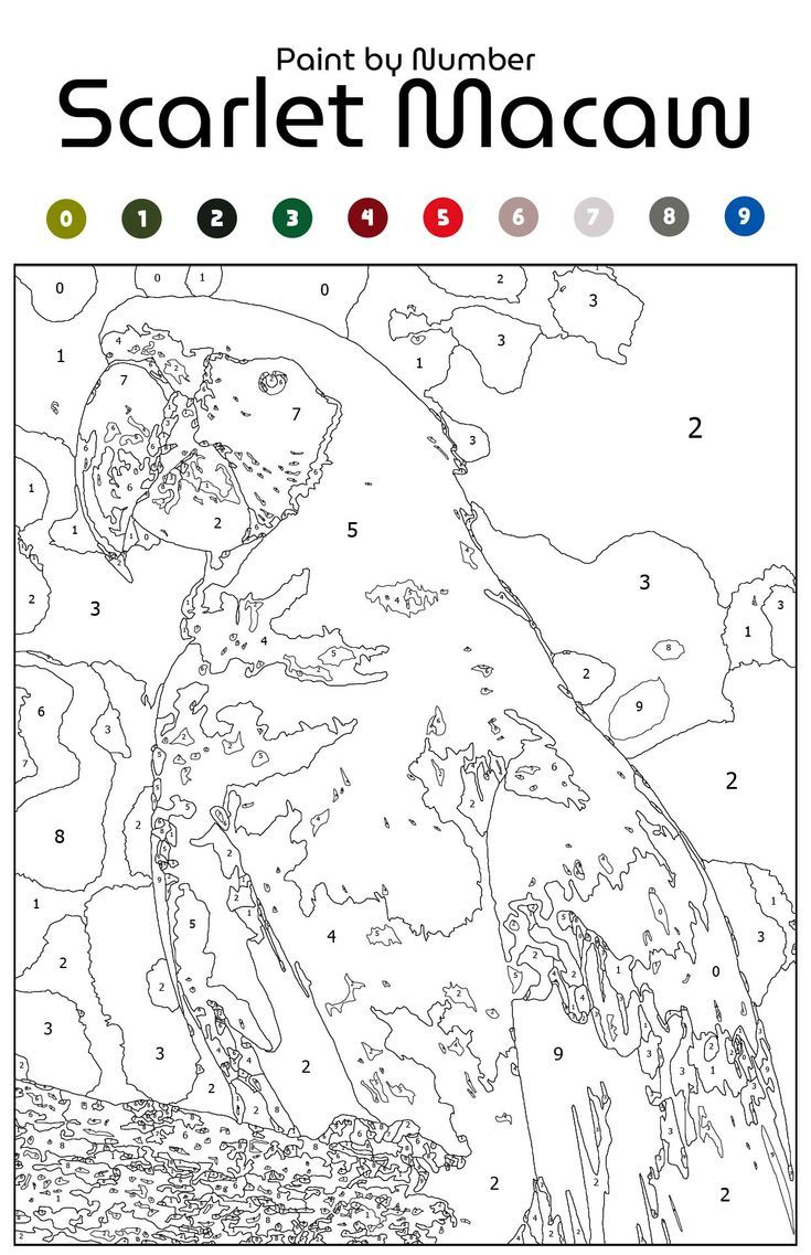 Paintnumber Printable Templates inside Printable Easy Paint By Numbers
