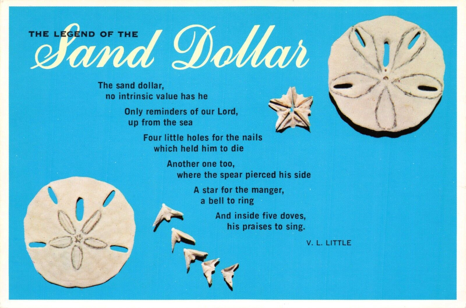 Vintage Postcard The Legend Of The Sand Dollar Unused Christian pertaining to Free Printable Printable Legend Of The Sand Dollar